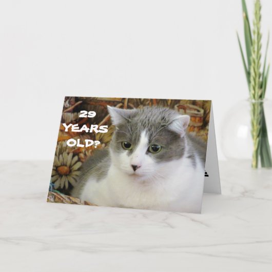 29? Je hebt Cat to Be Kitten Me Kaart (Voorkant)