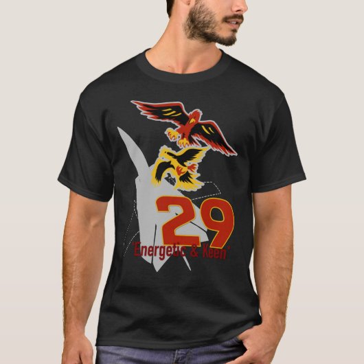 29 Squadron RAF Tornado F3 Vliegtuig UK Grouping E T-shirt (Voorkant)