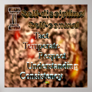 29e offerte; zelfdiscipline/zelfcontrole poster