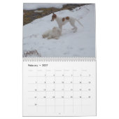 2 2016 calendrier de soie de Windhounds et d'amis (Feb 2027)