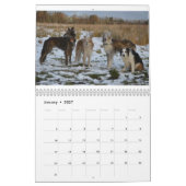 2 2016 calendrier de soie de Windhounds et d'amis (Jan 2027)