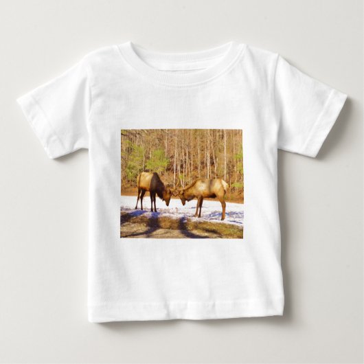 2~ 2 Bull Elk in de sneeuw (Voorkant)