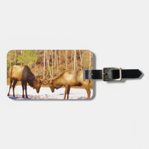 2~ 2 Bull Elk in de sneeuw Bagagelabel