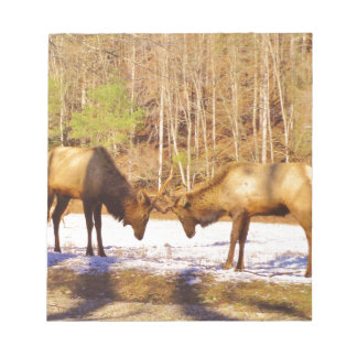 2~ 2 Bull Elk in de sneeuw Notitieblok