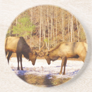 2~ 2 Bull Elk in de sneeuw Zandsteen Onderzetter