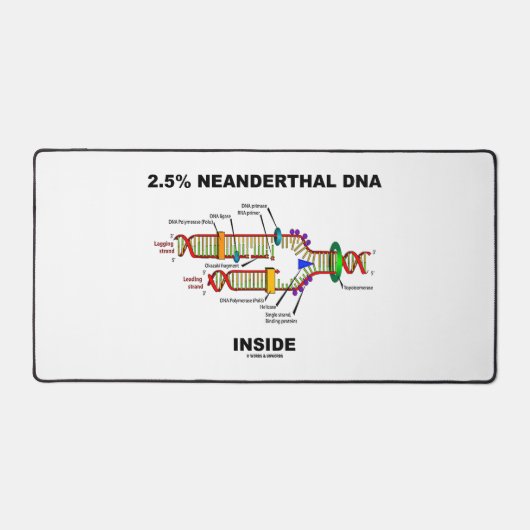 2,5 % ADN néandertal à l'intérieur de la réplicati (Recto)