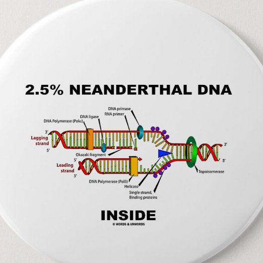 2,5% Neanderthaler DNA Inside (DNA-replicatie) Ronde Button 5,7 Cm
