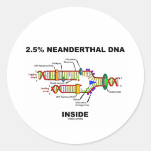 2,5% Neanderthaler DNA Inside (DNA-replicatie) Ronde Sticker