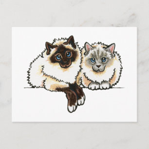 2 Birman Briefkaart