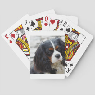 2 bis. pokerkaarten