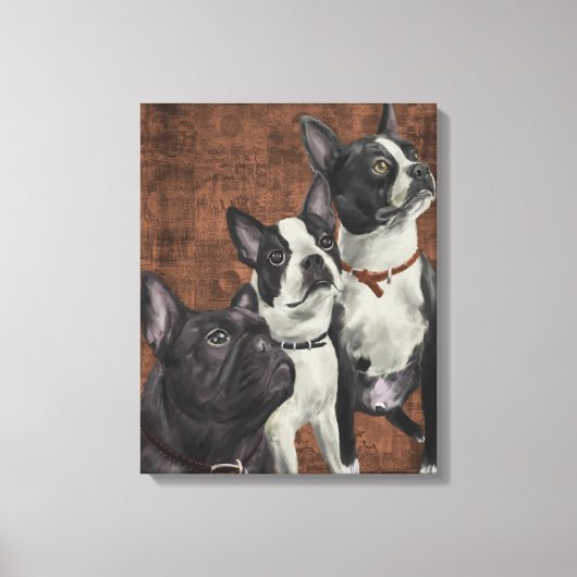 2 Boston Terriers en Franse Bulldog Canvas Afdruk (Voorkant)