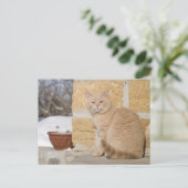 2 BRIEFKAART (Staand voorkant)