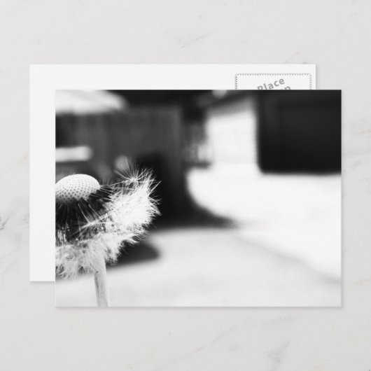 2 BRIEFKAART (Voorkant / Achterkant)