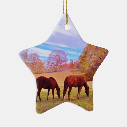 2 Bruine paarden in een gekleurd veld Keramisch Ornament (Rechts)