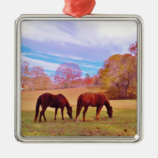 2 Bruine paarden in een gekleurd veld Metalen Ornament (Voorkant)
