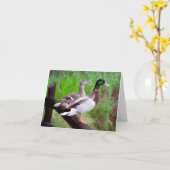 2 canards sur une carte de note de barrière (Fleur jaune)