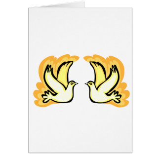 2 colombes de tortue