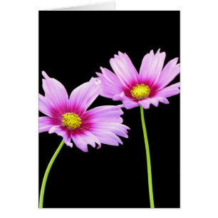 2 Cosmos