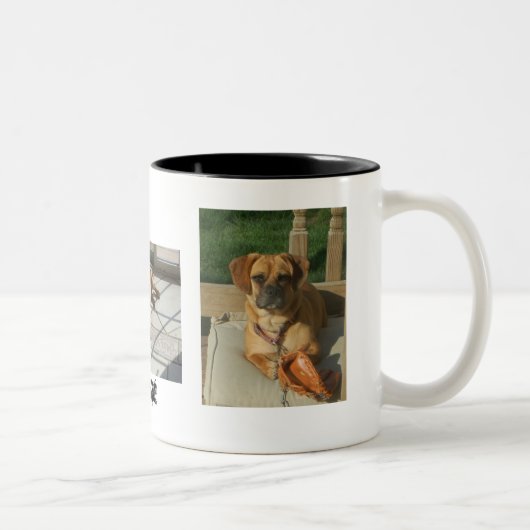 2 Couleurs 003, 167, 166, tasse de Puggle (Droit)