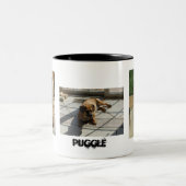 2 Couleurs 003, 167, 166, tasse de Puggle (Centre)