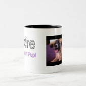2 Couleurs André : Le roi de la tasse de chiot ! (Centre)