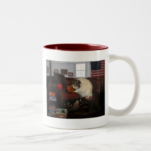 2 Couleurs Aucune tasse d'expérimentation animale (Droit)