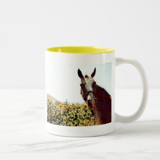 2 Couleurs Ayez une tasse de soleil ! (Droit)