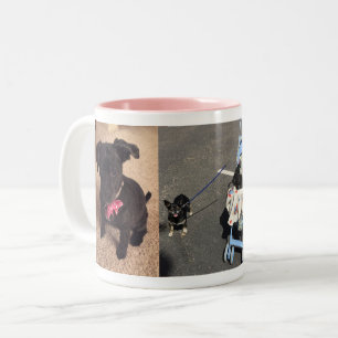 2 Couleurs Bandit et tasse de Maggie
