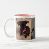 2 Couleurs Bandit et tasse de Maggie (Gauche)