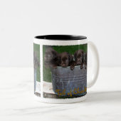 2 Couleurs Baquet de tasse de chocolat (Devant droit)