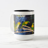 2 Couleurs Belle tasse de café de Conure (Devant gauche)