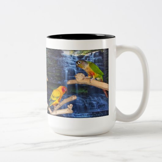 2 Couleurs Belle tasse de café de Conure (Droit)