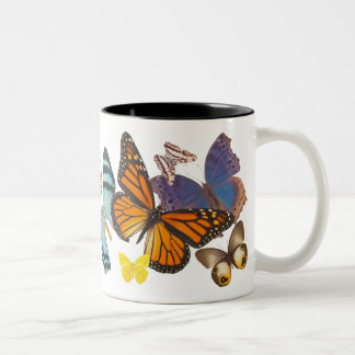 2 Couleurs Belle tasse de papillons