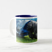 2 Couleurs Briard tasse (Devant gauche)