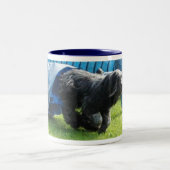 2 Couleurs Briard tasse (Centre)