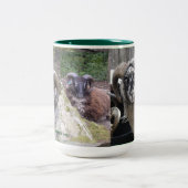 2 COULEURS CAFÉ DE SHETLAND TUPS, TASSE DE CACAO (Centre)