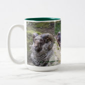 2 COULEURS CAFÉ DE SHETLAND TUPS, TASSE DE CACAO (Gauche)