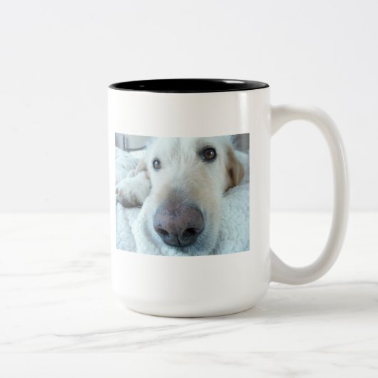 2 Couleurs Cette tasse me rend heureux (Droit)