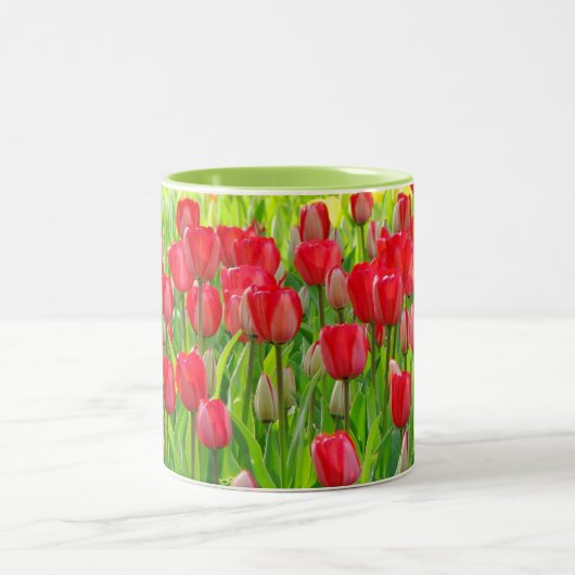 2 Couleurs Champ de tasse de tulipes (Centre)