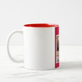 2 Couleurs chat noir et blanc sur tasse rouge