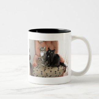 2 Couleurs Chats sur une tasse de chaise