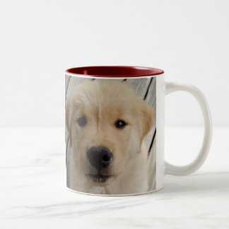 2 Couleurs Chiot de TASSE de golden retriever