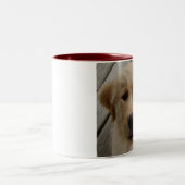 2 Couleurs Chiot de TASSE de golden retriever (Centre)