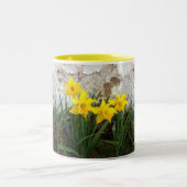 2 Couleurs Daffodique thé et café tasse (Centre)