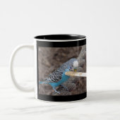 2 Couleurs DSC04582, DSC04495, la tasse de la sortie (Gauche)