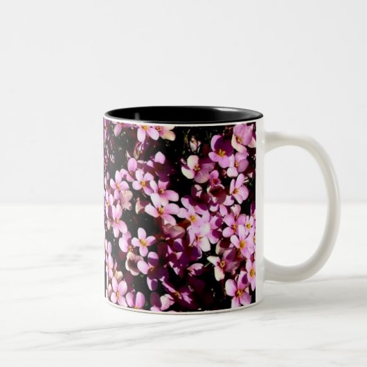 2 Couleurs Ensemble de tasse de famille (Droit)
