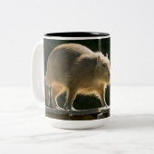 2 Couleurs Grande tasse de Capybara (Devant gauche)