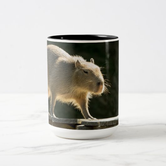 2 Couleurs Grande tasse de Capybara (Centre)