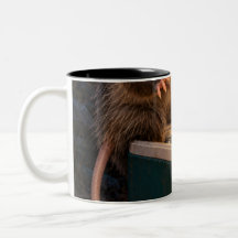 Inspection de collation de minuit Opossum Tasse no