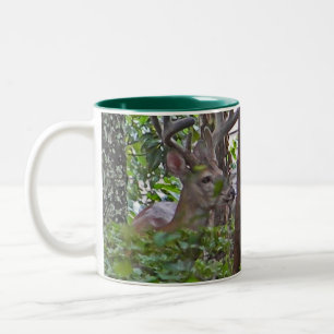 2 Couleurs La DZ tasse de cerfs communs